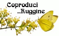 Coproduci Ruggine!
